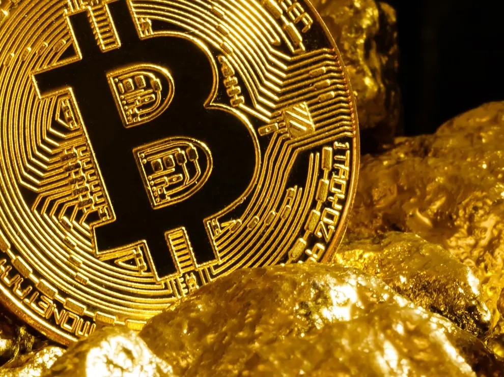 Da GameStop a Elon Musk, Bitcoin trova sempre più sostenitori