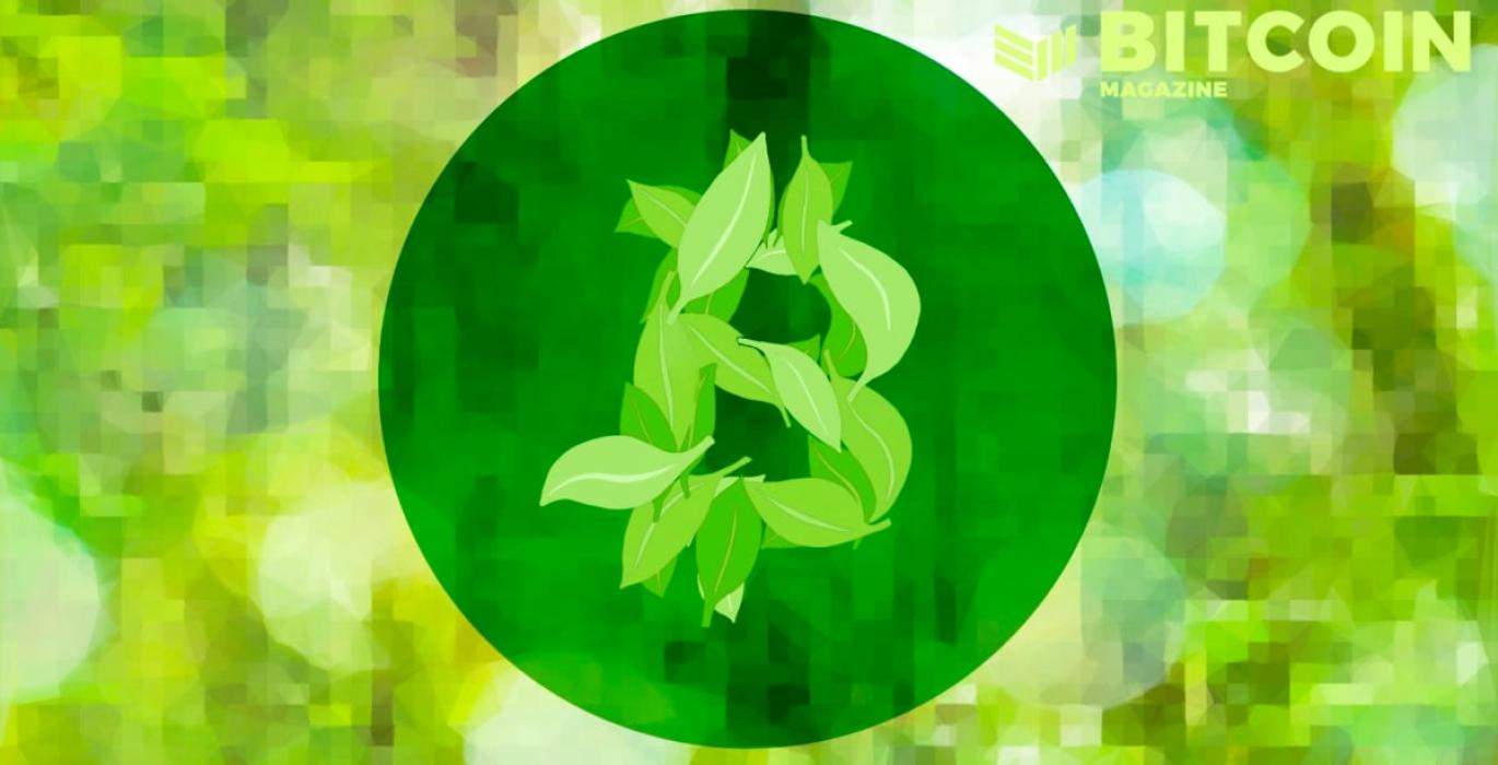 Bitcoin non consuma così tanta energia!