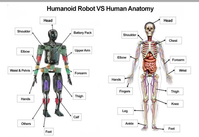 AI non ha cuore: Ecco perché i Consulenti (veri) non spariranno